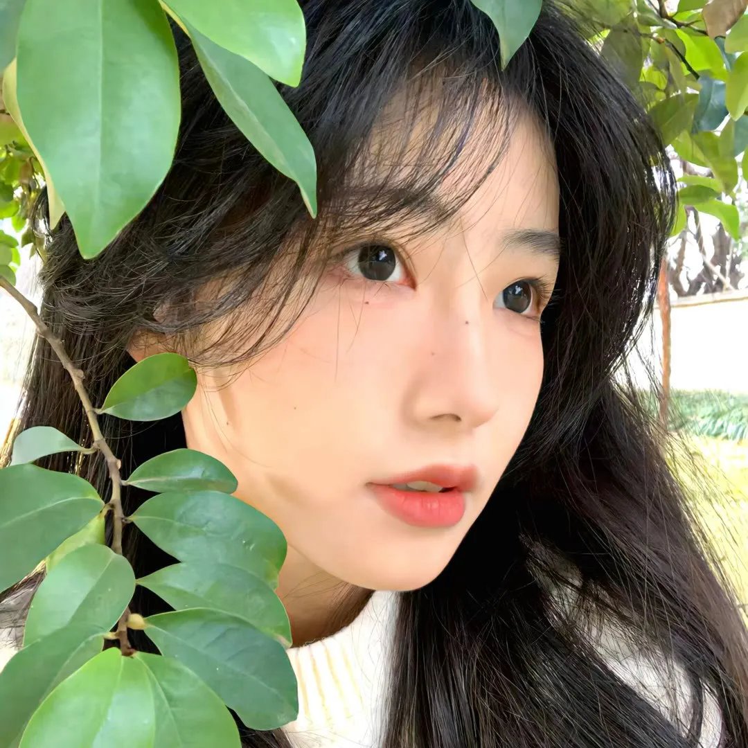 疯女日记